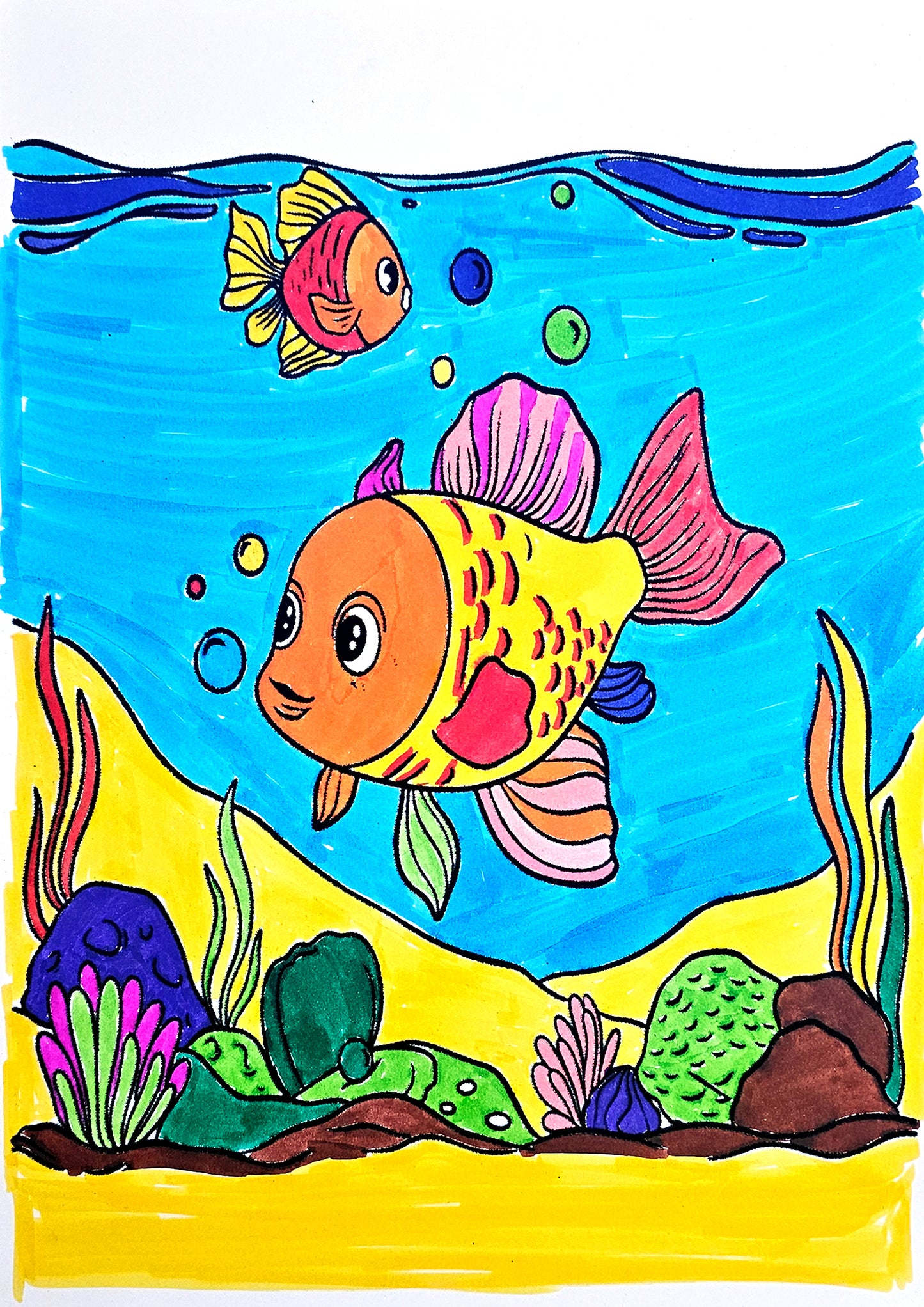 Adorable Aquarium Fish Scene